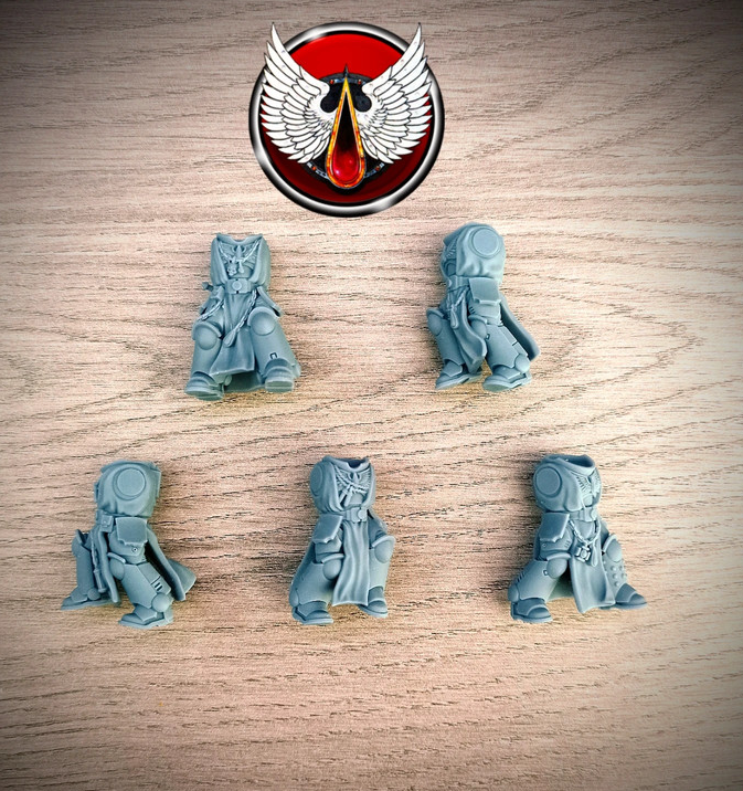 Lot de 5 corps Blood Angels